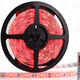 OxyLED 16' Strip Lights, $15 with code 1OXY5050
